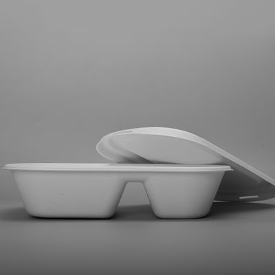 Eco Friendly Biodegradable Salad Boxes