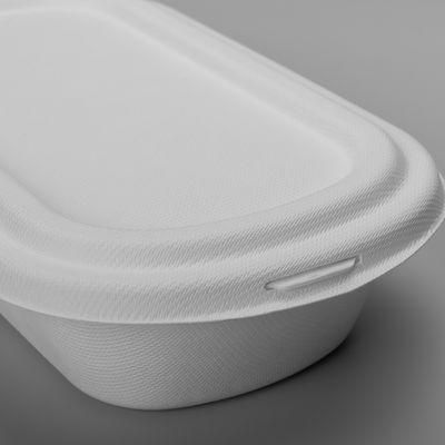 Eco Friendly Biodegradable Salad Boxes