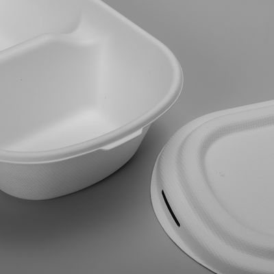 Eco Friendly Biodegradable Salad Boxes