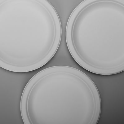 7  Inch  8g Snack Biodegradable Sugarcane Bagasse Plates