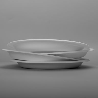 7  Inch  8g Snack Biodegradable Sugarcane Bagasse Plates