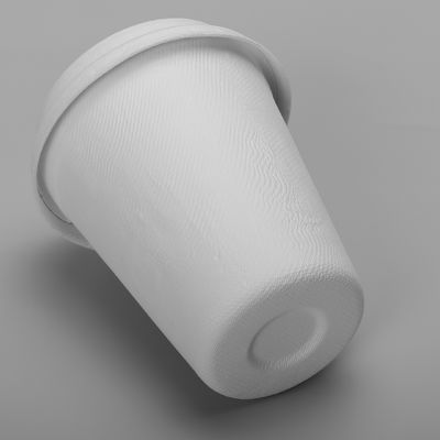 Bagasse Molded Pulp Leakproof 8oz 250ml Biodegradable Cups And Lids