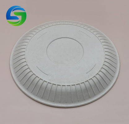 6'' 11g Picnic 100% Biodegradable Cornstarch Trays