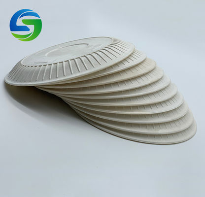 6'' 11g Picnic 100% Biodegradable Cornstarch Trays