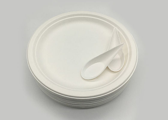 9 Inch Snack 100% Natural Sugarcane Compostable Plates