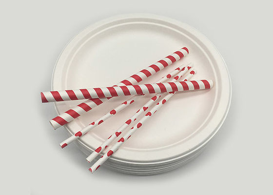 9 Inch Snack 100% Natural Sugarcane Compostable Plates