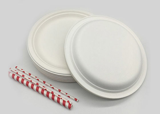 9 Inch Snack 100% Natural Sugarcane Compostable Plates