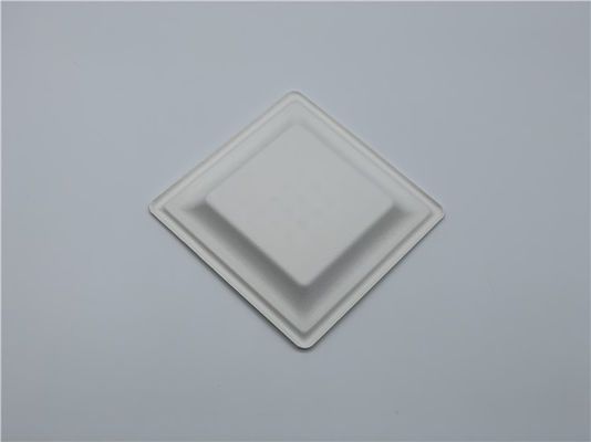 6 Inch Waterproof Tableware Square Sugarcane Waste Plates