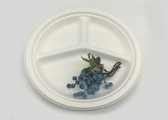 10" 3 Compartment Strong Dinnerware Bagasse Paper Plates