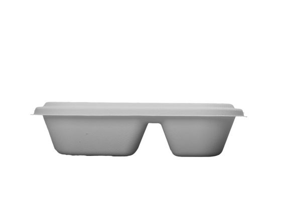 Bagasse Lunch 22.5×12.5×5.5cm Biodegradable Salad Boxes