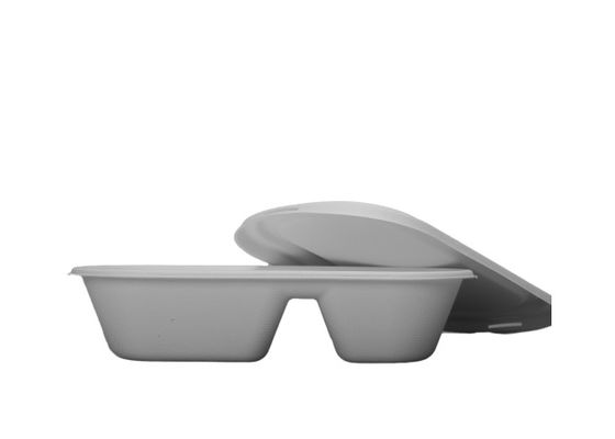 Bagasse Lunch 22.5×12.5×5.5cm Biodegradable Salad Boxes