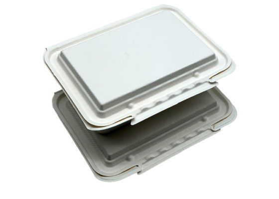 Lunch Bento Paper 9inch×6inch Bio Food Packaging