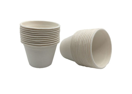 Take Away 60ml  2oz Sugarcane Bagasse Cups