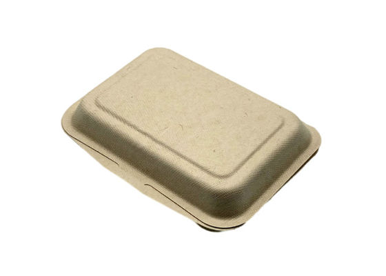 Disposable Bagasse 7×5 Inch 20g Bio Food Packaging