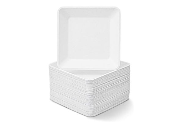 10 Inch Salad  Square Sugarcane Bagasse Tableware