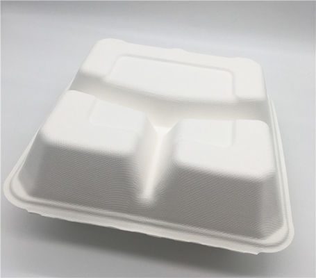 Bento Petroleum Free 8''×8'' Biodegradable Take Out Boxes
