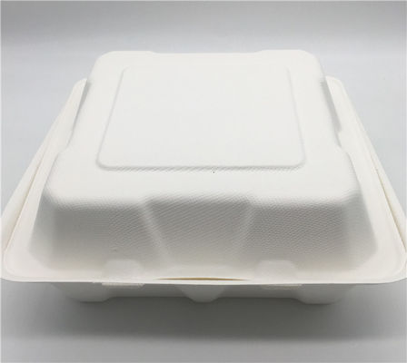 Bento Petroleum Free 8''×8'' Biodegradable Take Out Boxes