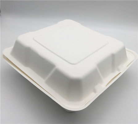 Bento Petroleum Free 8''×8'' Biodegradable Take Out Boxes