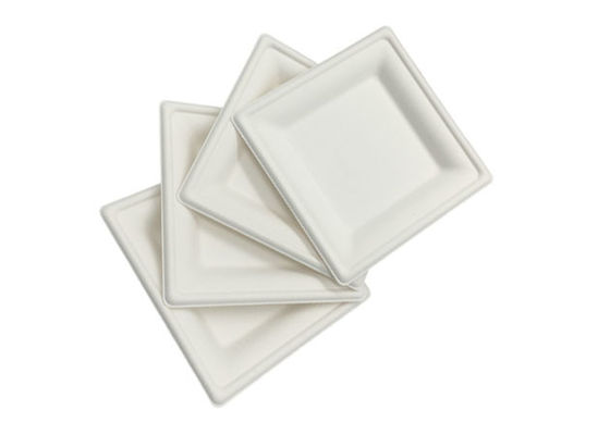 100% Compostable 6 Inch 10g Sugarcane Waste Plates