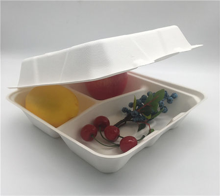 8 Inch 38g Clamshell Biodegradable To Go Containers