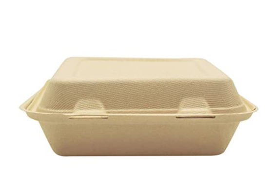 6 Inches Lunch Freezer Safe Biodegradable Takeout Containers