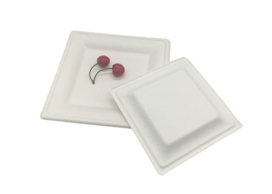 8 Inch Square Biodegradable Sugarcane Bagasse Plates