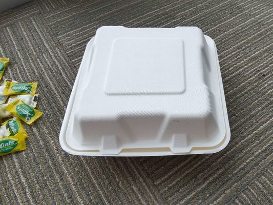 Biodegradable compostable bagasse 8inch compartment lunch paper boxes for fast food for restaurant and party use