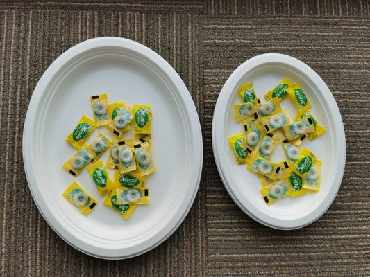 10 / 12 Inch Oval  Restaurant Nature Bagasse Paper Plates