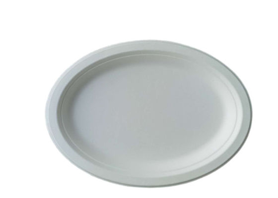 10 Inch 17g Eco Friendly Sugarcane Paper Plates