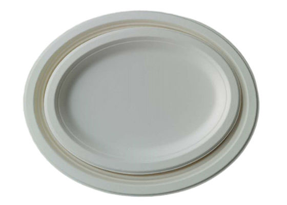 10 Inch 17g Eco Friendly Sugarcane Paper Plates