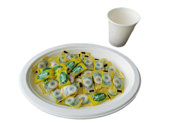10 Inch 17g Eco Friendly Sugarcane Paper Plates