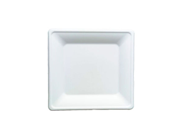10 Inch 30g Kitchen Dinnerware Bio Food Packaging