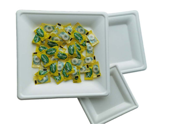 10 Inch 30g Kitchen Dinnerware Bio Food Packaging