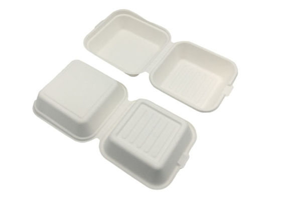 6×6 Inch 530ml 20g Biodegradable Food Boxes
