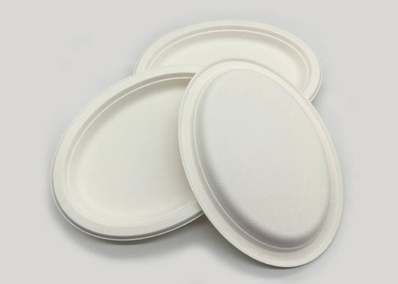 10 Inch 515ml Oil Resistance Biodegradable Sugarcane Bagasse Plates