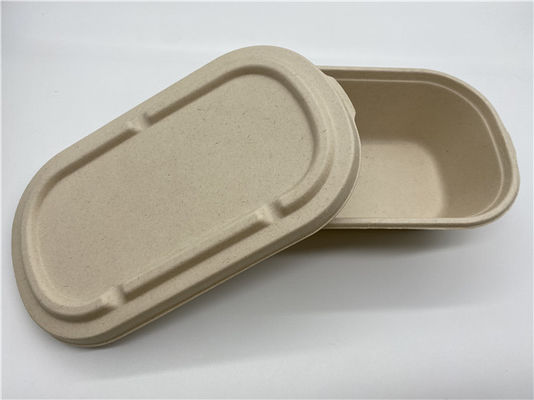 850ML Sugarcane Takeaway Biodegradable Salad Boxes