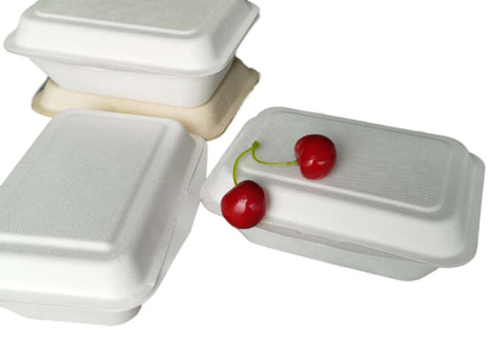 Eco Friendly Bagasse Clamshell Containers 271x182x45mm