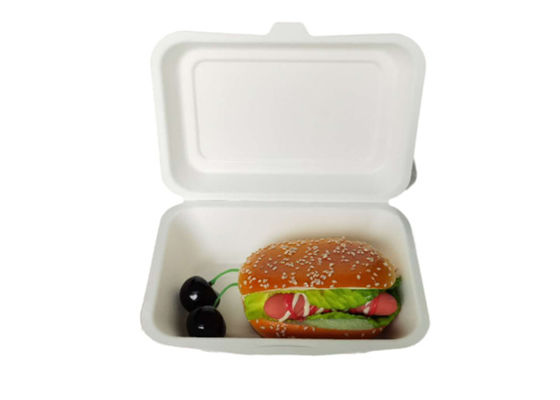 Eco Friendly Bagasse Clamshell Containers 271x182x45mm