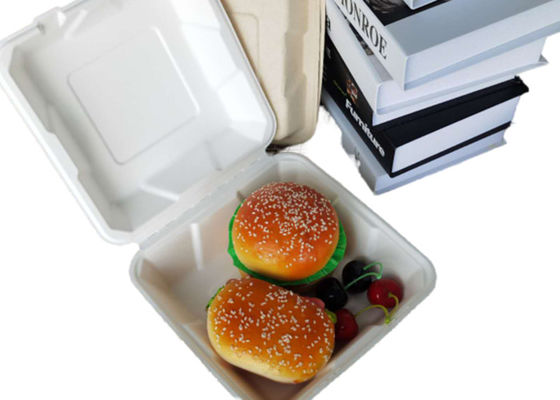 8 Inch  Clamshell Sugarcane  Biodegradable To Go Containers