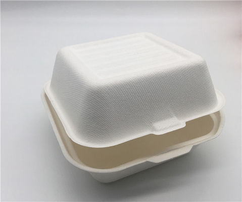 6x6 Inch  Biodegradable Takeout Containers