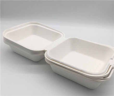 6x6 Inch  Biodegradable Takeout Containers