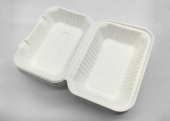 Sugarcane  9×6 Inch 33g To Go Containers Biodegradable