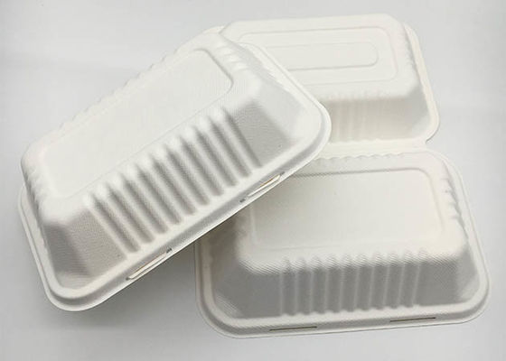 Sugarcane  9×6 Inch 33g To Go Containers Biodegradable