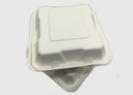 Dinnerware  8×8 Inch 100% Biodegradable Takeout Containers