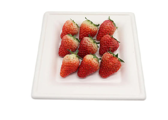 6 Inch 10g Cake Rectangle Biodegradable Sugarcane Plates