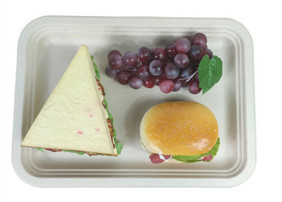 Rectangle Biodegradable Food Trays