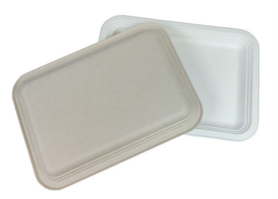 Rectangle Biodegradable Food Trays