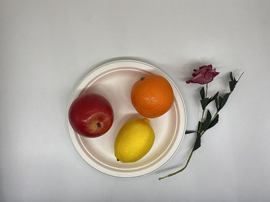 Oilproof Natural White Biodegradable Sugarcane Bagasse Plates 9"
