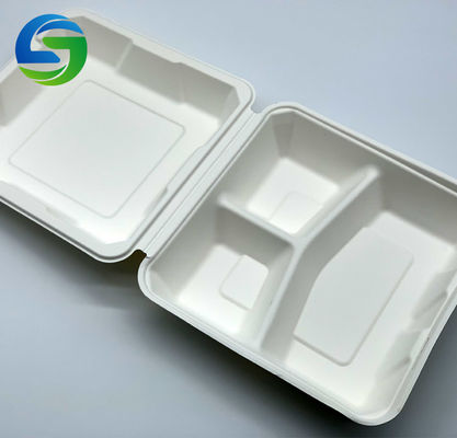 9 Inch 3 Compartment  Biodegradable Takeout Food Containers