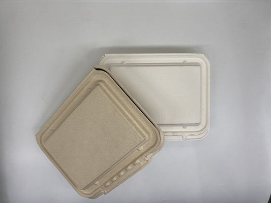 Renewable 9x6 Inch 39g Biodegradable Takeout Containers